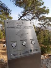 מצפה אבינועם