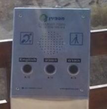 עין גדי