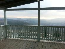 חורשת אריאל